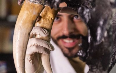 Museu de Ciências e Tecnologia da PUCRS lança exposição "Extinção"