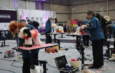 FEIPET: Feira gratuita reúne profissionais do mercado pet e vet; confira