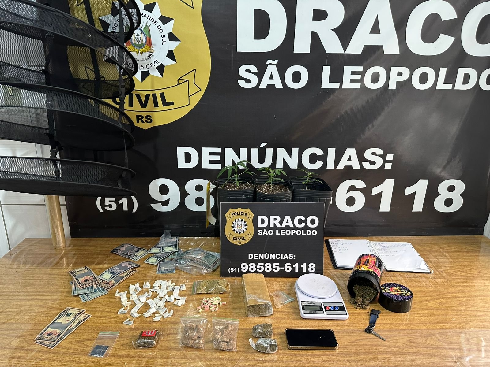 Maconha da elite produzida em estufa dentro de apartamento no Centro de Novo Hamburgo &eacute; apreendida em opera&ccedil;&atilde;o policial