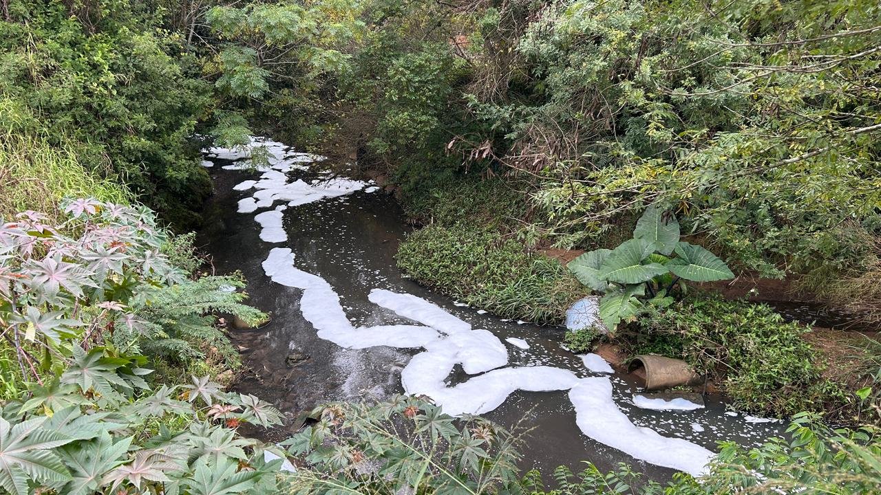 Espuma em arroio assusta moradores de Estância Velha | abc+