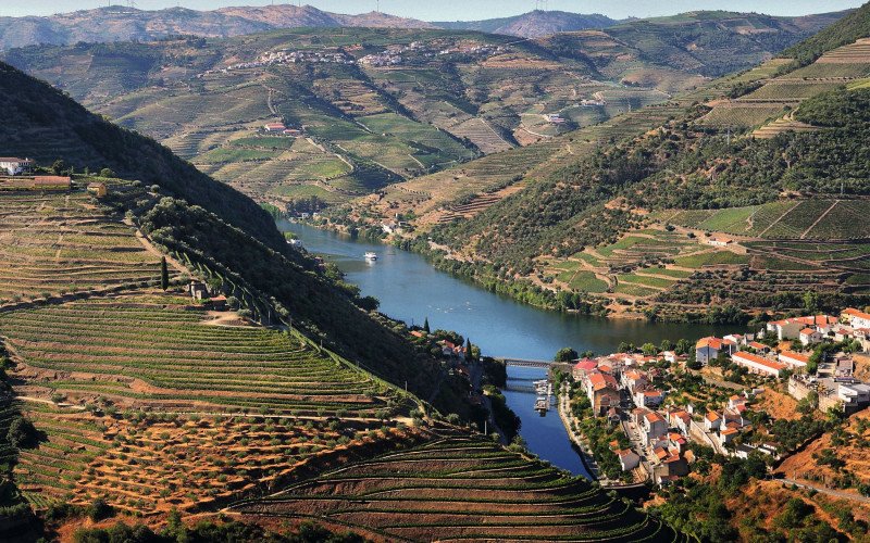 Região do Alto Douro, em Portugal | abc+