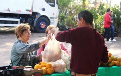 Festa da Bergamota aproxima público da produção rural em São Sebastião do Caí
