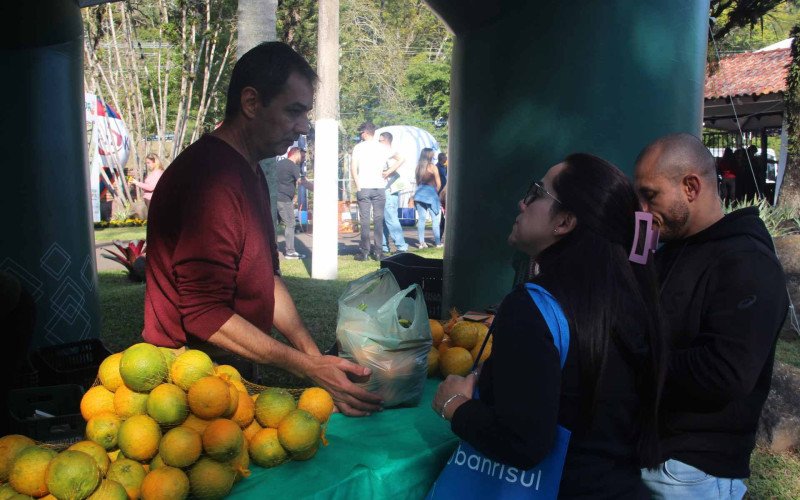 Festa da Bergamota aproxima público da produção rural em São Sebastião do Caí
