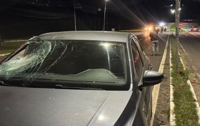 Pedestre que morreu após atropelamento na RS-239 é identificado