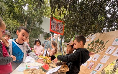 A árvore virou projeto de pesquisa na Emei Marina Garbarino