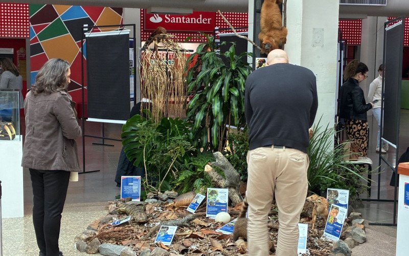 Na Semana do Meio Ambiente Unisinos promove exposição "Animais do Rio Grande do Sul"
