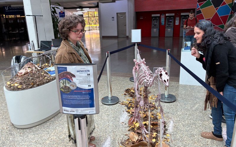 Na Semana do Meio Ambiente Unisinos promove exposição "Animais do Rio Grande do Sul"
