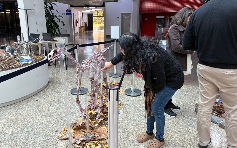 Na Semana do Meio Ambiente Unisinos promove exposição "Animais do Rio Grande do Sul"
