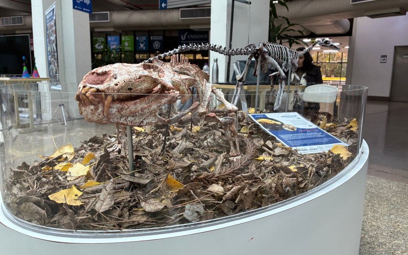 Na Semana do Meio Ambiente Unisinos promove exposição "Animais do Rio Grande do Sul"
