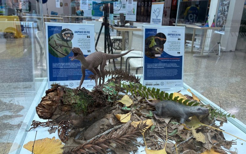 Na Semana do Meio Ambiente Unisinos promove exposição "Animais do Rio Grande do Sul"
