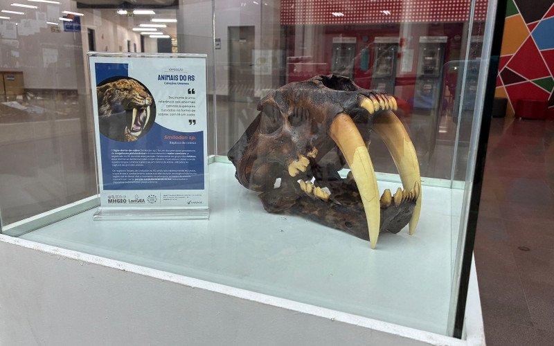 Na Semana do Meio Ambiente Unisinos promove exposição "Animais do Rio Grande do Sul"
