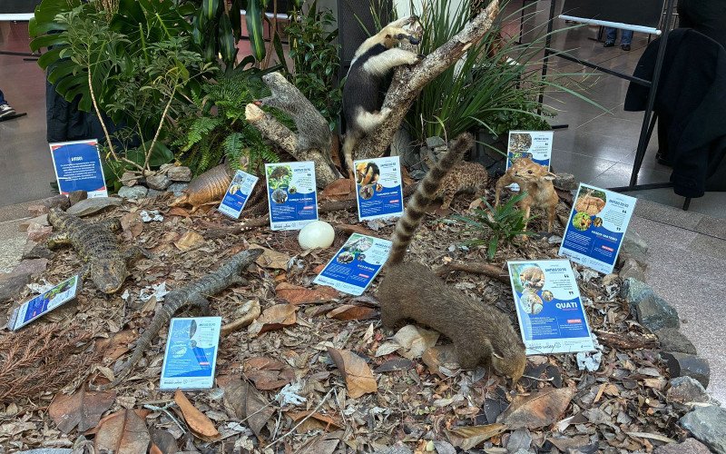 Na Semana do Meio Ambiente Unisinos promove exposição "Animais do Rio Grande do Sul"
