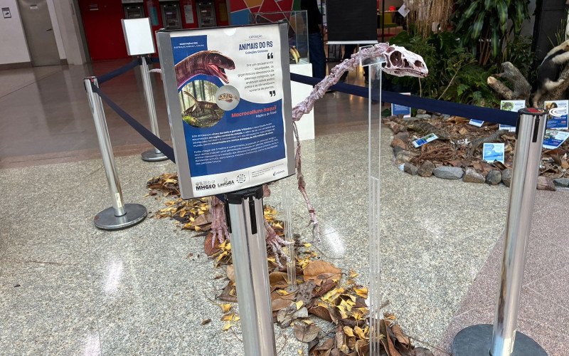 Na Semana do Meio Ambiente Unisinos promove exposição "Animais do Rio Grande do Sul"
