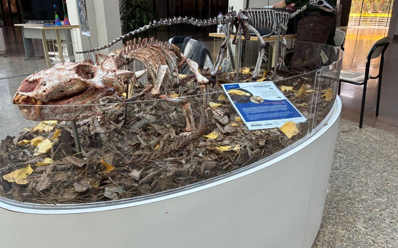 Na Semana do Meio Ambiente Unisinos promove exposição "Animais do Rio Grande do Sul"
