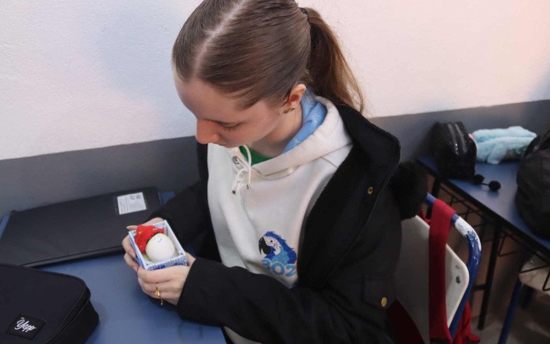 Projeto Bebê Ovo desenvolvido com os alunos do 3º ano do ensino médio da Escola Osvaldo Aranha