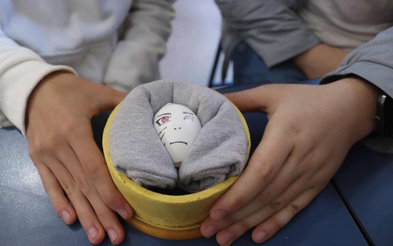 Projeto Bebê Ovo desenvolvido com os alunos do 3º ano do ensino médio da Escola Osvaldo Aranha