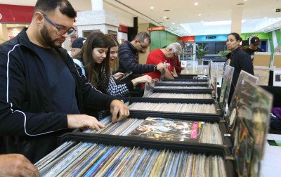 Vinil