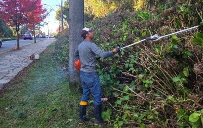 Aproveitando esta época de temperaturas baixas, Gramado realiza trabalho de poda e manutenção das hortênsias