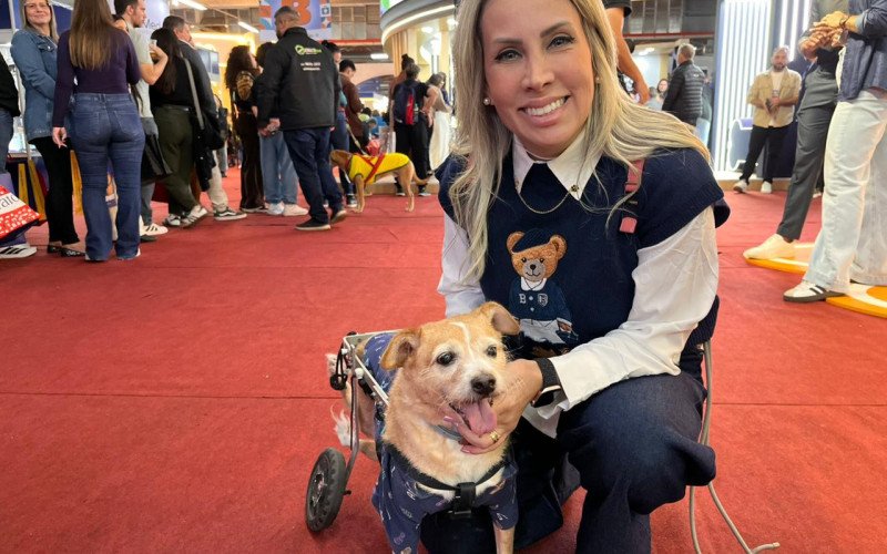 Mariana compartilha a rotina de Toquinho, cão cadeirante mas totalmente ativo
