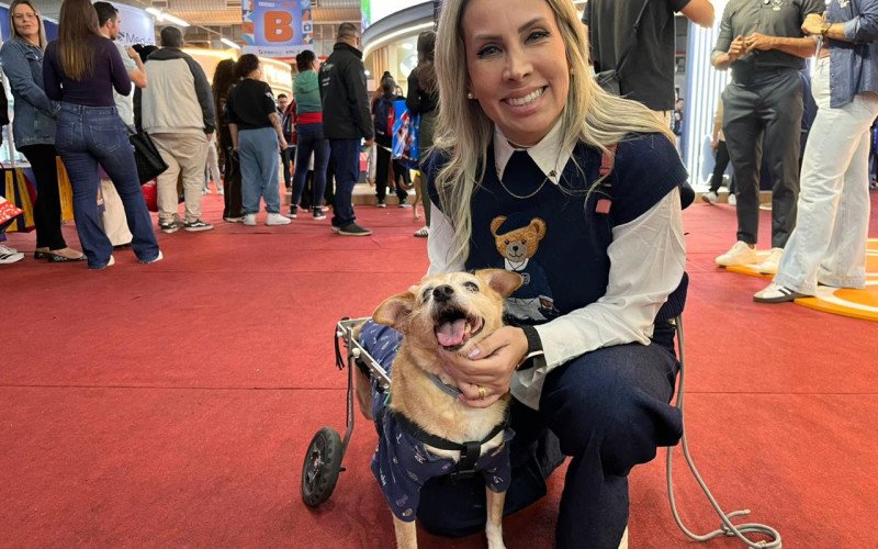 Mariana compartilha a rotina de Toquinho, cão cadeirante mas totalmente ativo