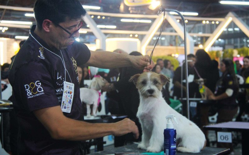 Concurso de tosa embeleza os animais