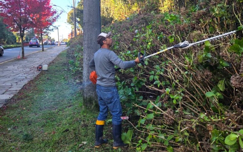 Aproveitando esta época de temperaturas baixas, Gramado realiza trabalho de poda e manutenção das hortênsias