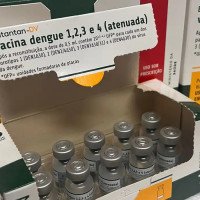 Vacina da dengue do Butantan: Anvisa cria grupo de trabalho para investigação