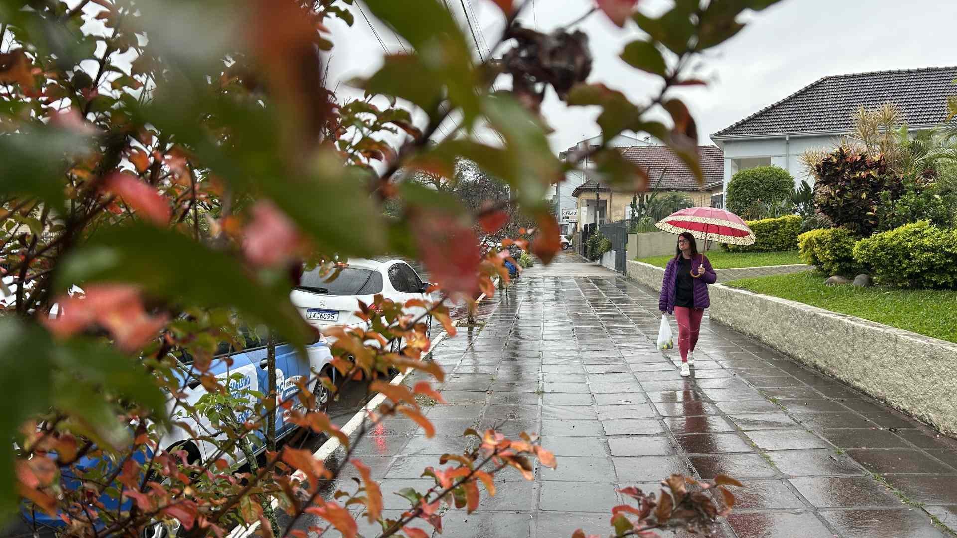 &ldquo;Prejudica a sa&uacute;de&rdquo;: Saiba como eliminar o mofo e a umidade causados pelas chuvas no RS