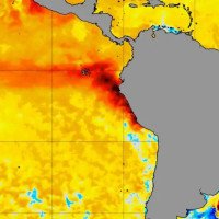 Chance de Super El Niño: Meteorologista projeta pico no segundo semestre, "quando os efeitos serão mais sentidos no Brasil"