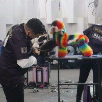 FEIPET: Evento consolida mercado pet e vet e Fenac confirma edição de 2027; confira