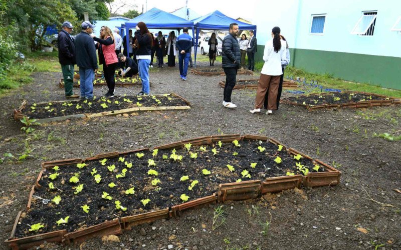 Horta já possui canteiros com hortaliças plantadas pelos moradores do bairro Mathias Velho | abc+