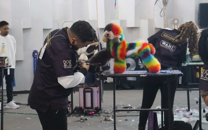 FEIPET: Evento consolida mercado pet e vet e Fenac confirma edição de 2027; confira