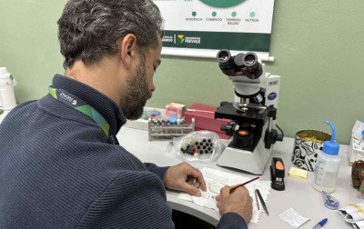 Novo Hamburgo prepara ofensiva contra a dengue