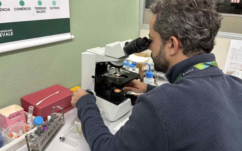 Análise de coleta realizada pelo biólogo e coordenador do Projeto da Dengue da Universidade Feevale, Tiago Filipe Steffen | abc+
