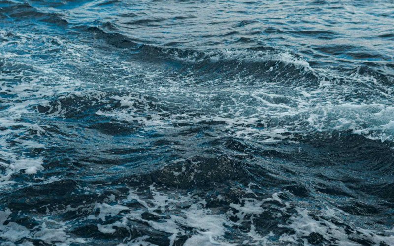 Situação do oceano é grave, afirma ONU | abc+