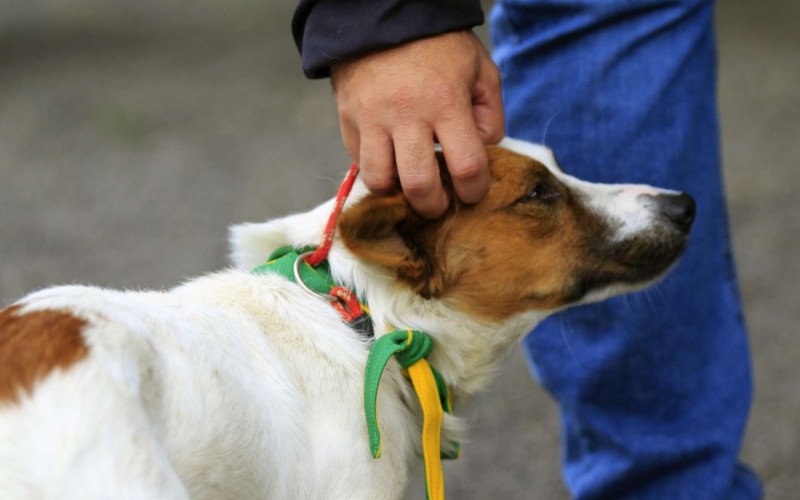  11/06/26 CACHORRO RESGATADO NO VALÃO