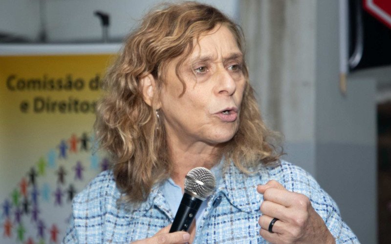 Deputada Sofia Cavedon (PT), presidente da Comissão de Educação da Assembleia Legislativa | abc+