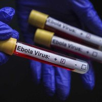Saiba o que acontece caso ebola seja confirmado em paciente de Novo Hamburgo
