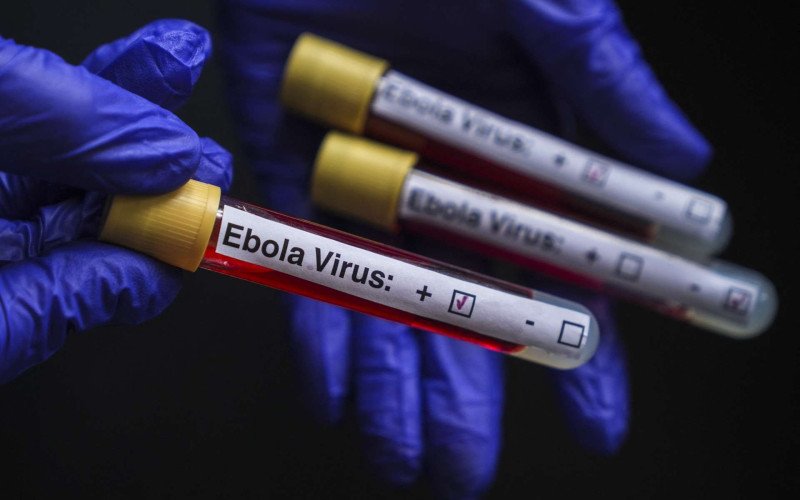 Suspeita de ebola em Novo Hamburgo: saiba como a doença é transmitida, quais são os sintomas e o tratamento