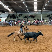 Tradição familiar reunida no Campeonato Regional de Laço em Rolante