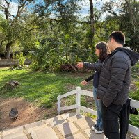 Zoológico de Sapucaia do Sul reabre após quatro semanas com visitação suspensa; veja fotos