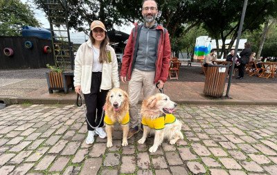 Pets entram no clima da Copa do Mundo na cãominhada de Ivoti; confira