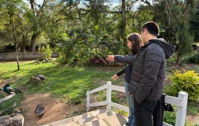 Zoológico de Sapucaia do Sul reabre após quatro semanas com visitação suspensa; veja fotos