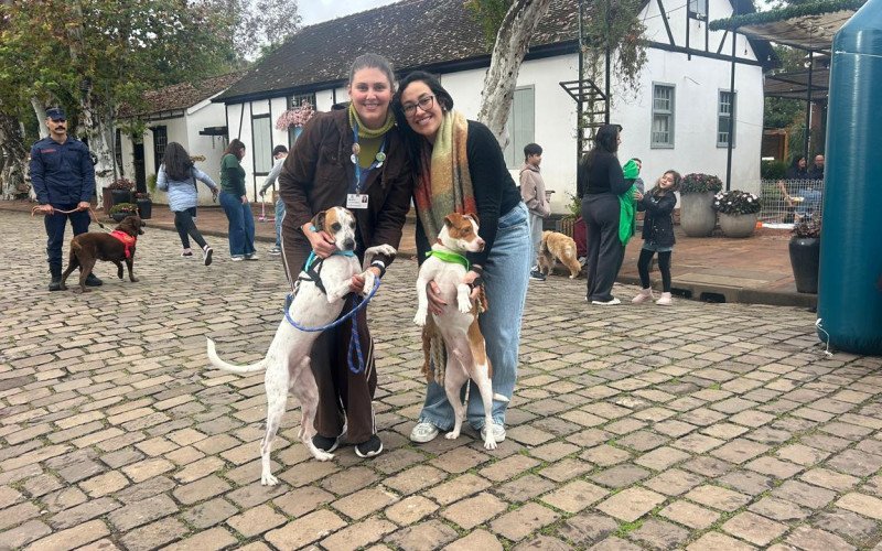 Juliana e Lana com Spike e Punch | abc+