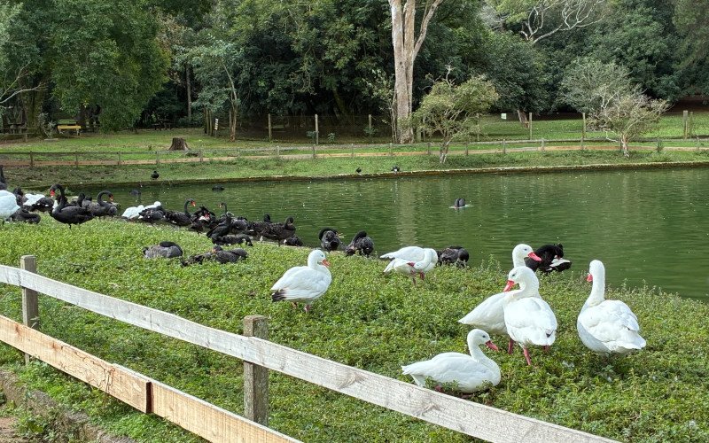 Parque Zoológico de Sapucaia do Sul reabre após quatro semanas
