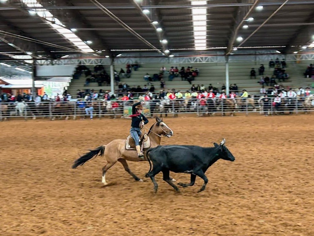 Tradi&ccedil;&atilde;o familiar reunida no Campeonato Regional de La&ccedil;o em Rolante