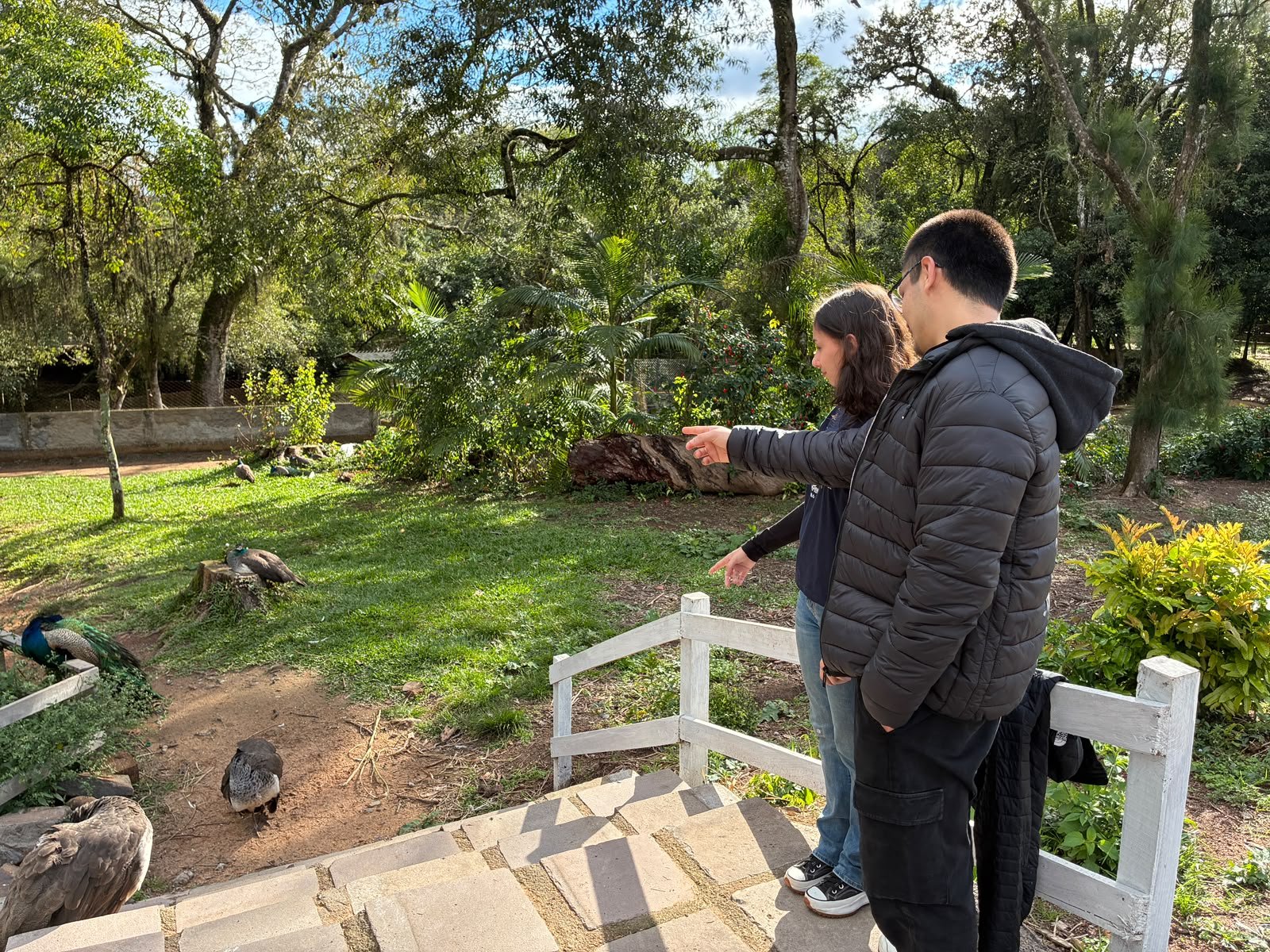 Zool&oacute;gico de Sapucaia do Sul reabre ap&oacute;s quatro semanas com visita&ccedil;&atilde;o suspensa; veja fotos