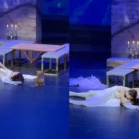 Gato invade palco de Romeu e Julieta, morde ator brasileiro e rouba a cena na Turquia