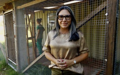 Ex-secretária de Canoas vira ré por comandar eutanásias ilegais de cães e gatos; Justiça nega pedido de liberdade