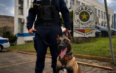 Conheça Bruce, a primeira agente canina da Guarda Municipal de Novo Hamburgo
